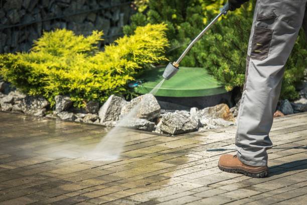 Professional Pressure Washing Services in Wesley Chapel, FL